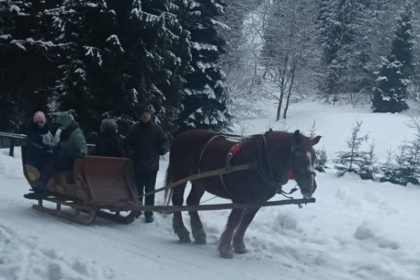 629488996_953800660638878_3207518331801669631_n